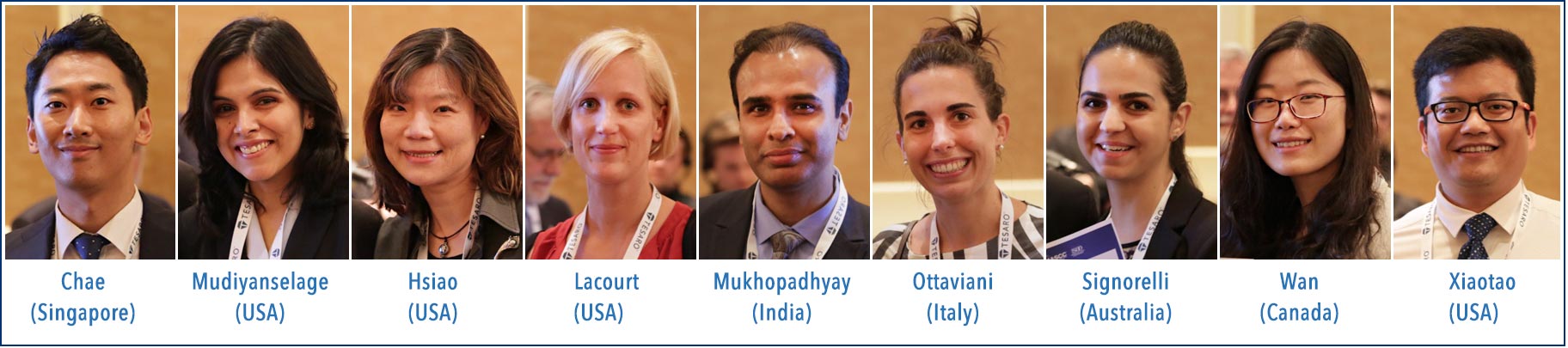 2017 MASCC Young Investigator Awards